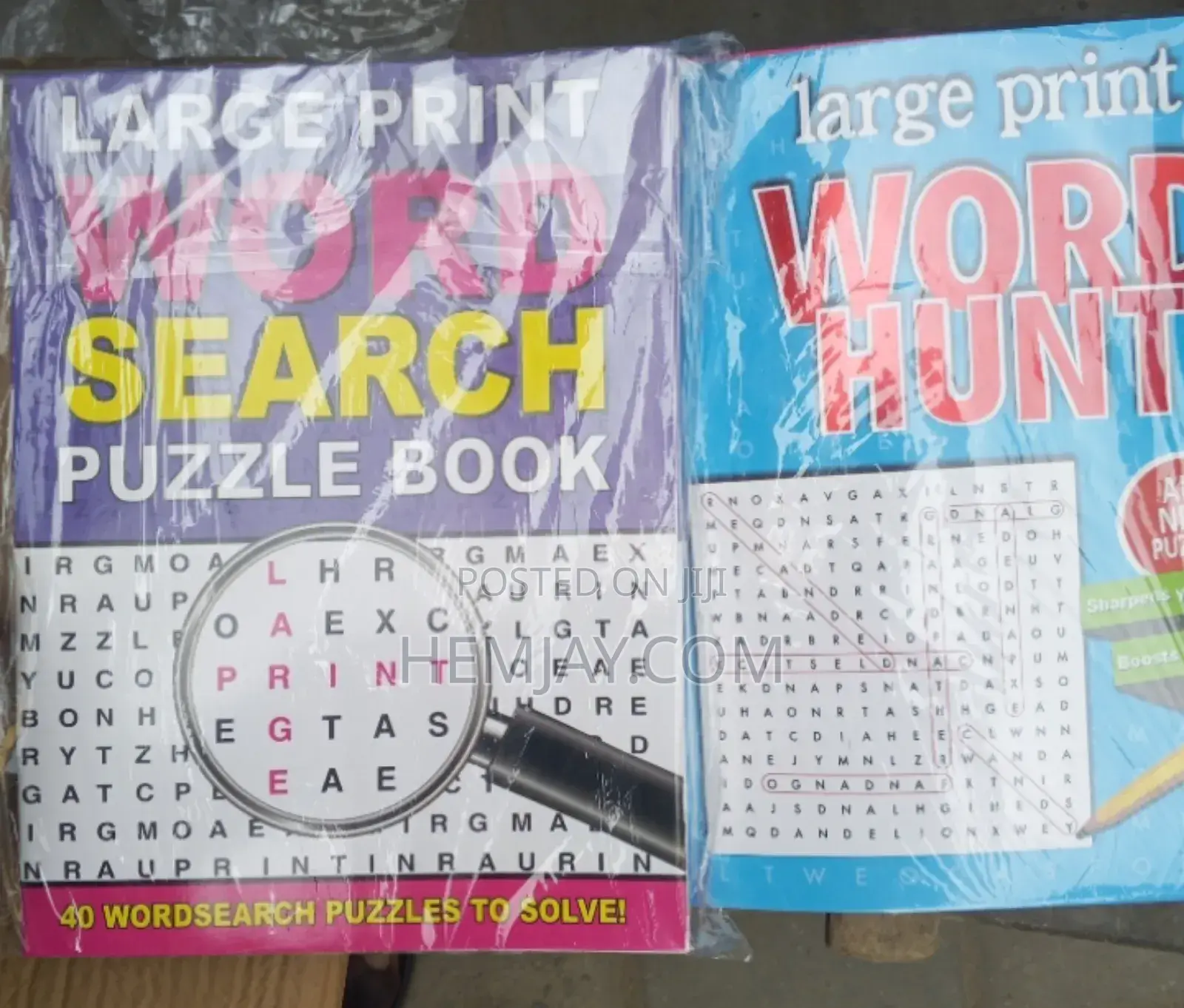 Word Hunt/ Search Puzzle Books (Sharpen Your Memory Boost Your Vocab
