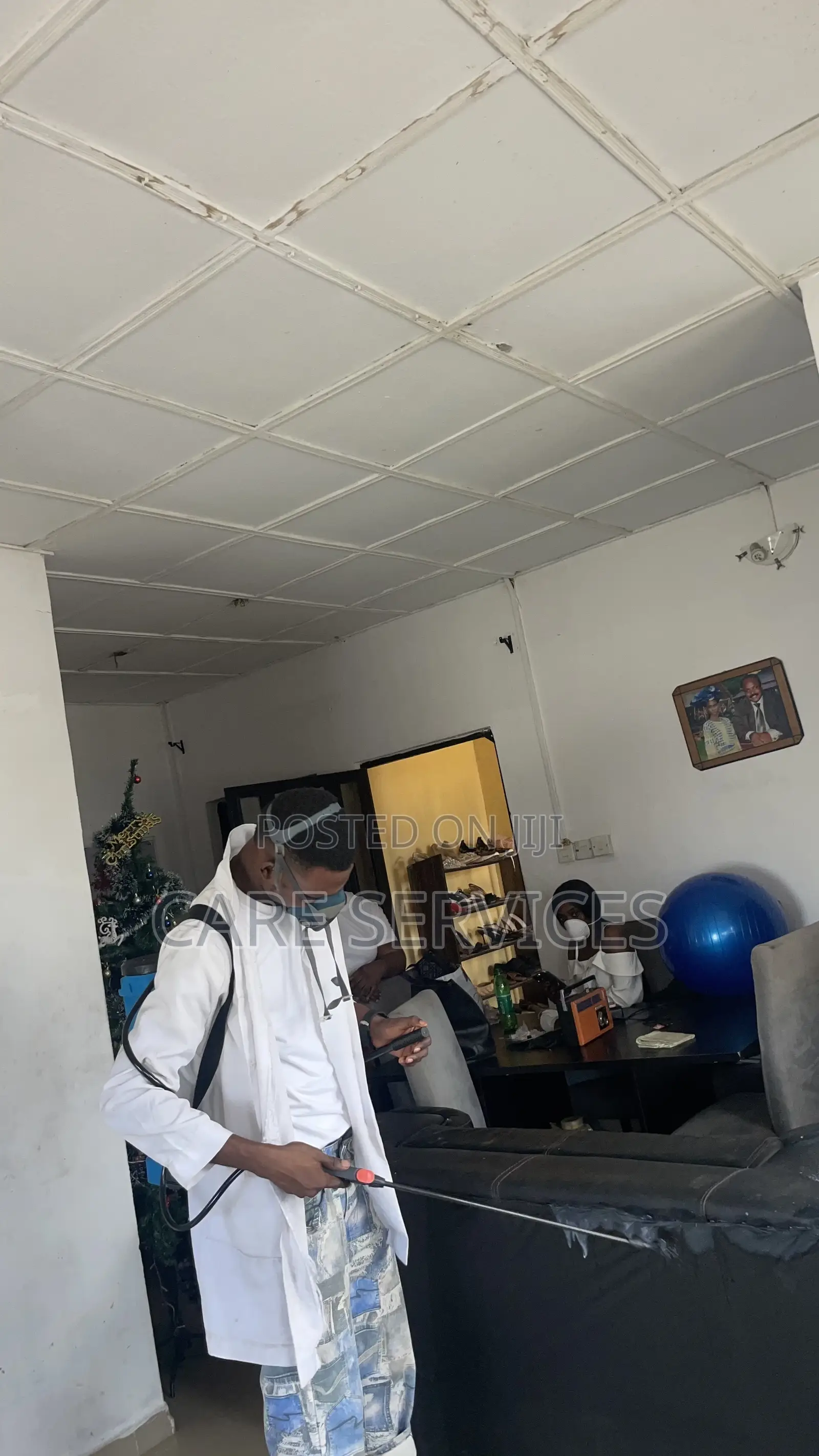 Dynamic Bedbugs Fumigation Service