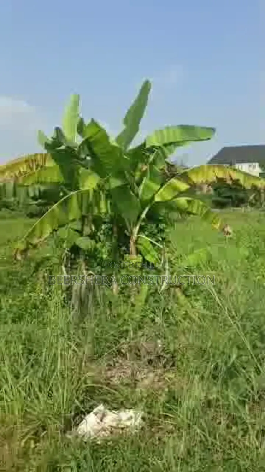 Distress Sale!! 8 Plots at Ngozika Estate Awka