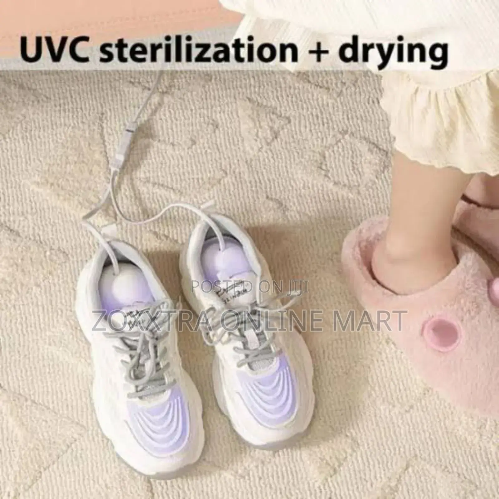 Shoes Dryer