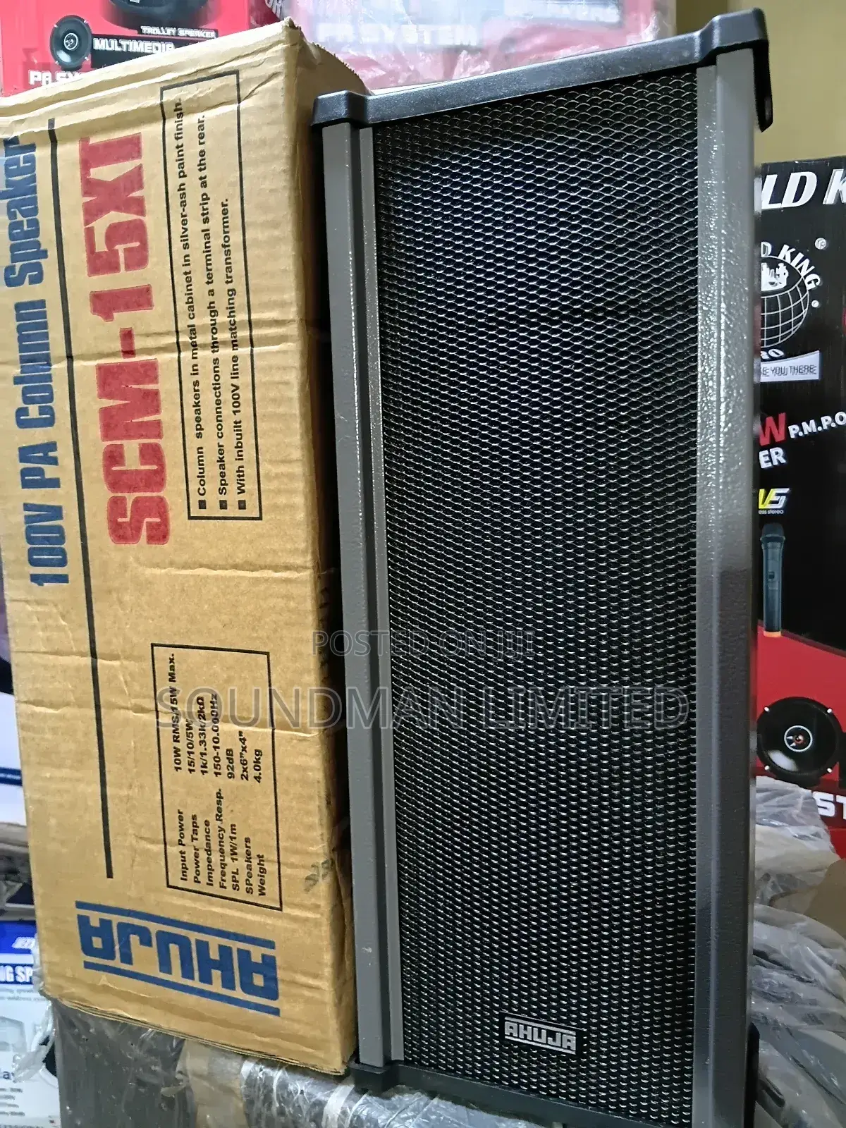 Ahuja Column Speaker