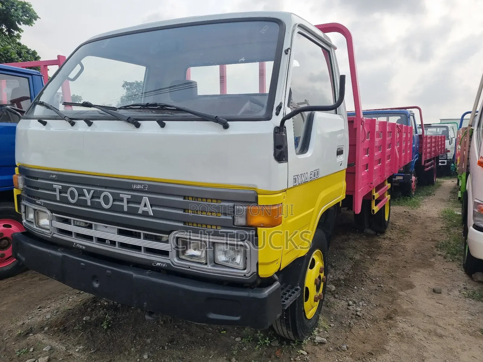 Dyna Truck 300