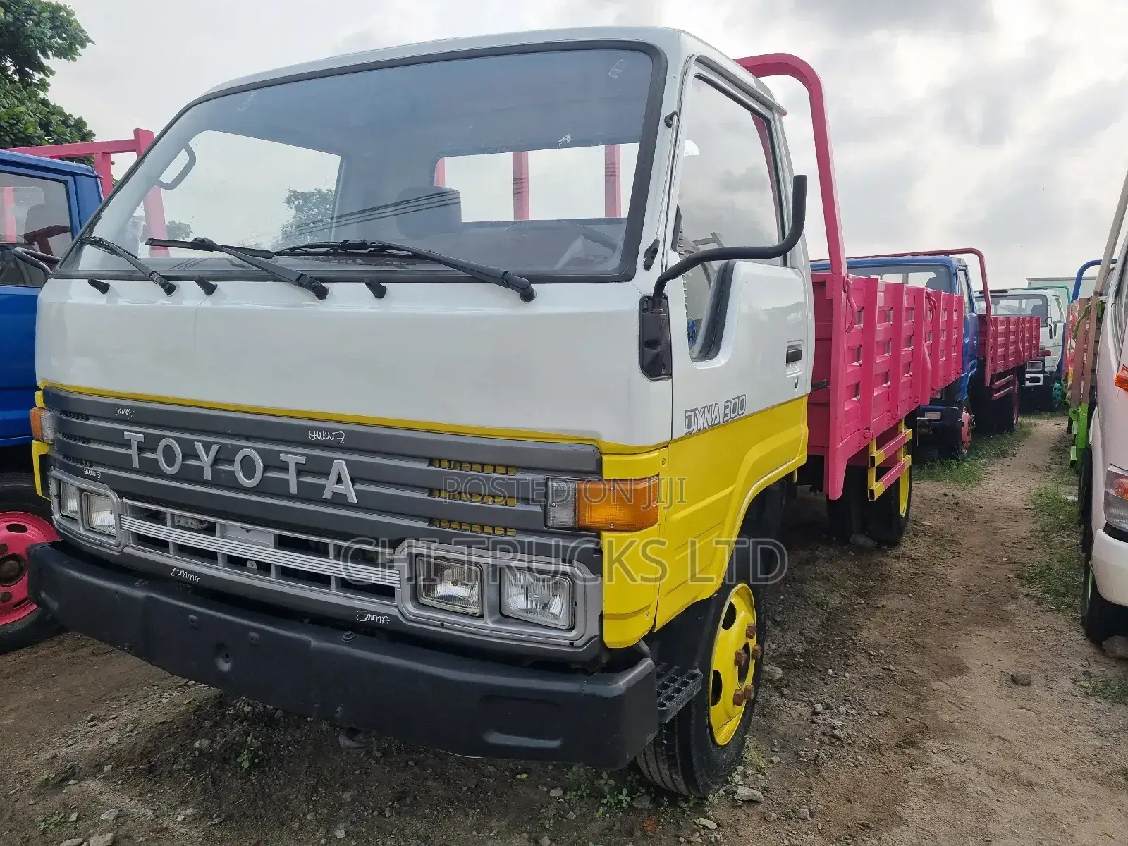 Dyna Truck 300
