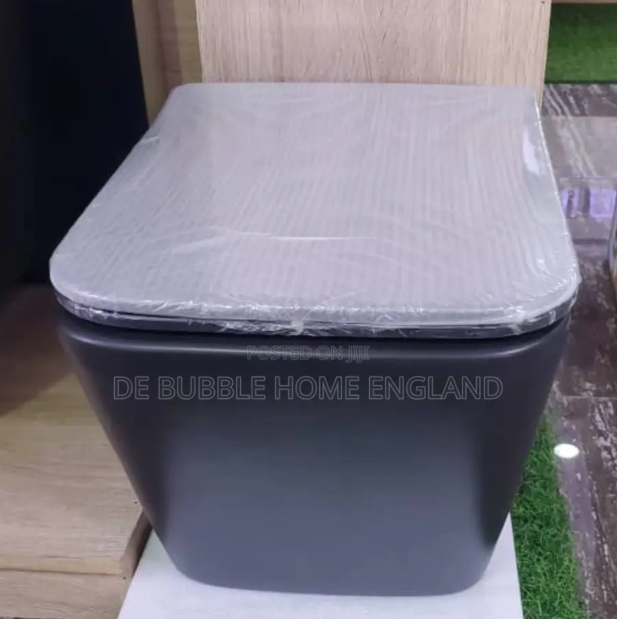 Concealed Wc