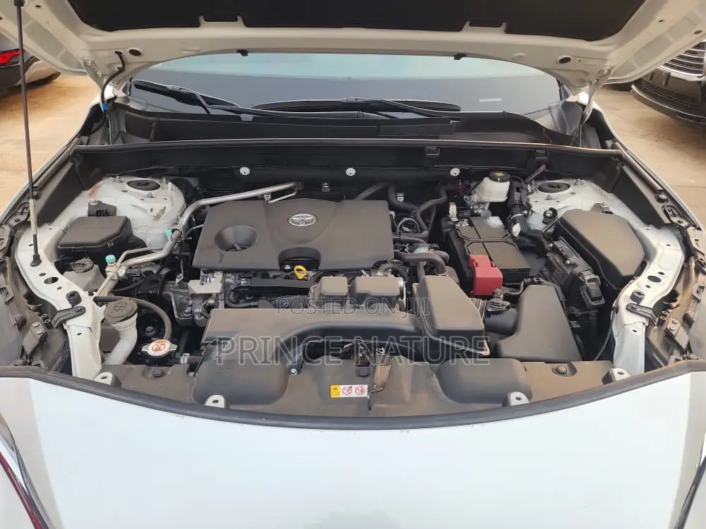 Toyota Venza XLE AWD 2023 White