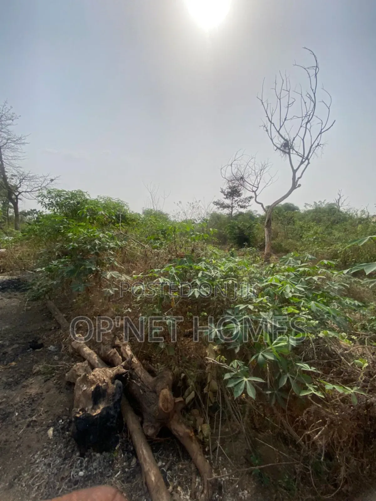 4 Plots of Land Close to a Major.Road.