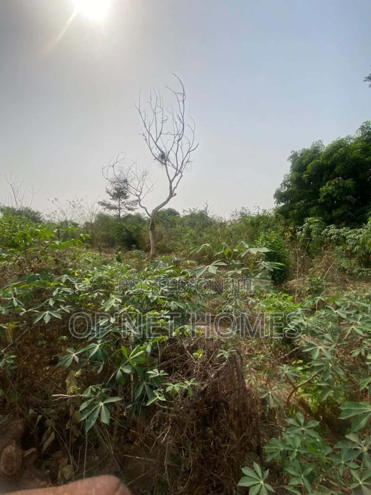 4 Plots of Land Close to a Major.Road.