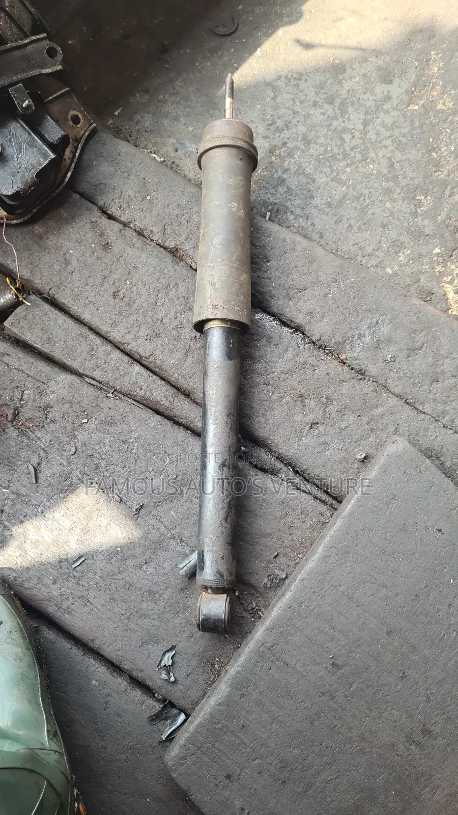 Micra Shock Observo Back  1919_2000