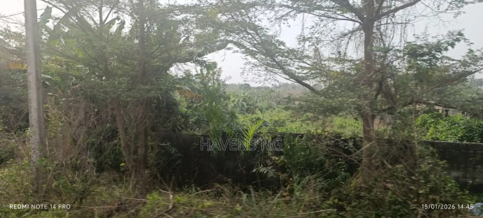 One Full Plot of Land for Sale at Harmony Estate, Akobo