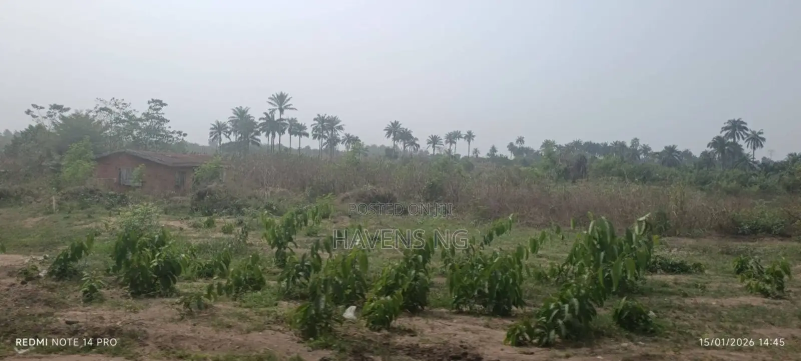 One Full Plot of Land for Sale in Akobo