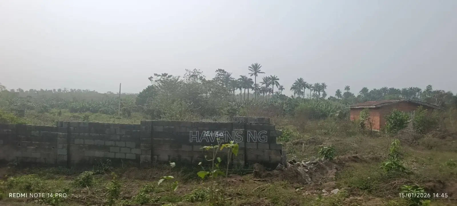 One Full Plot of Land for Sale in Akobo