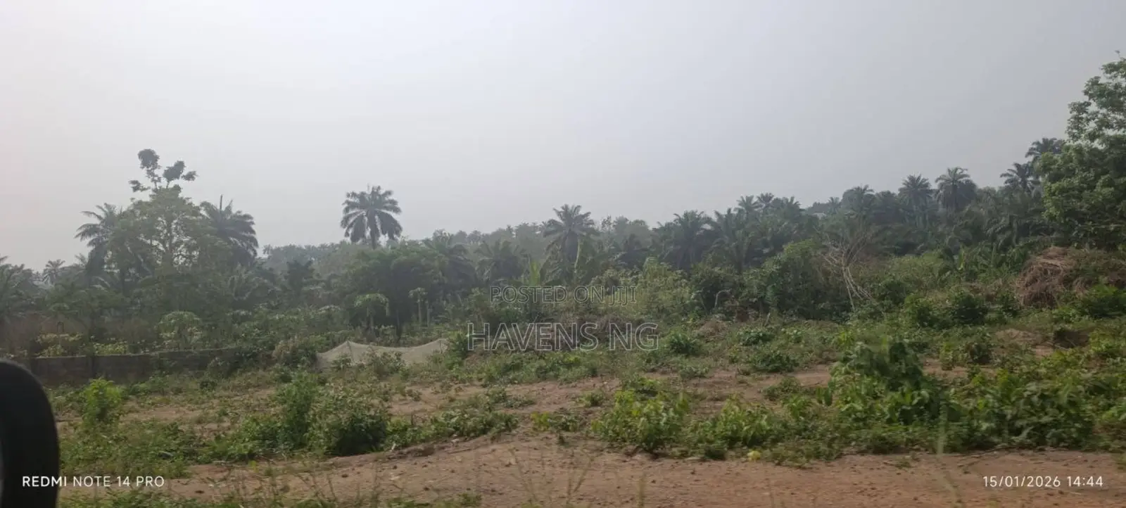 One and a Half Plots of Land for Sale