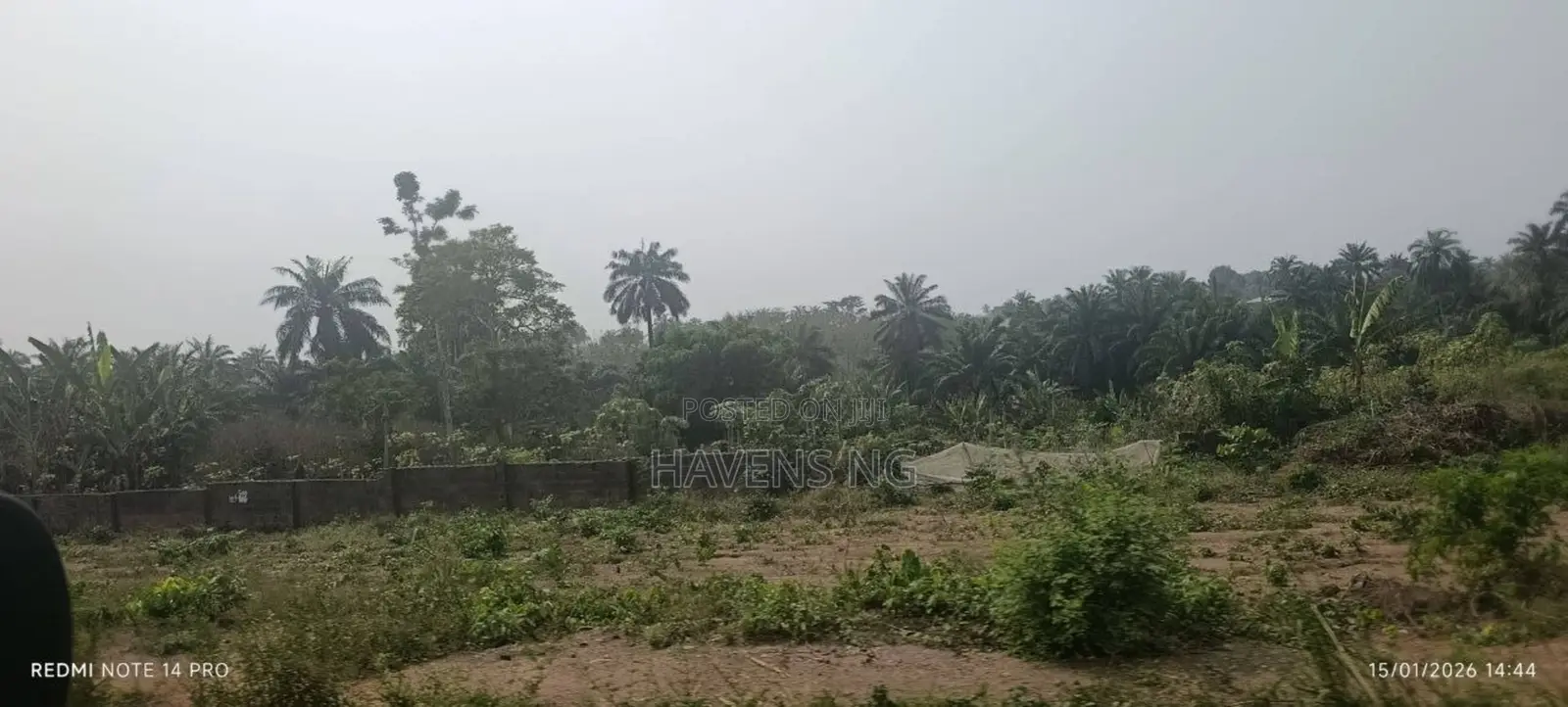 One and a Half Plots of Land for Sale