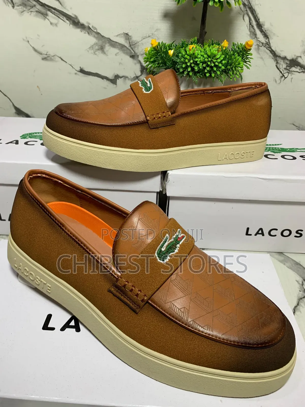 Lacoste Mens Shoes