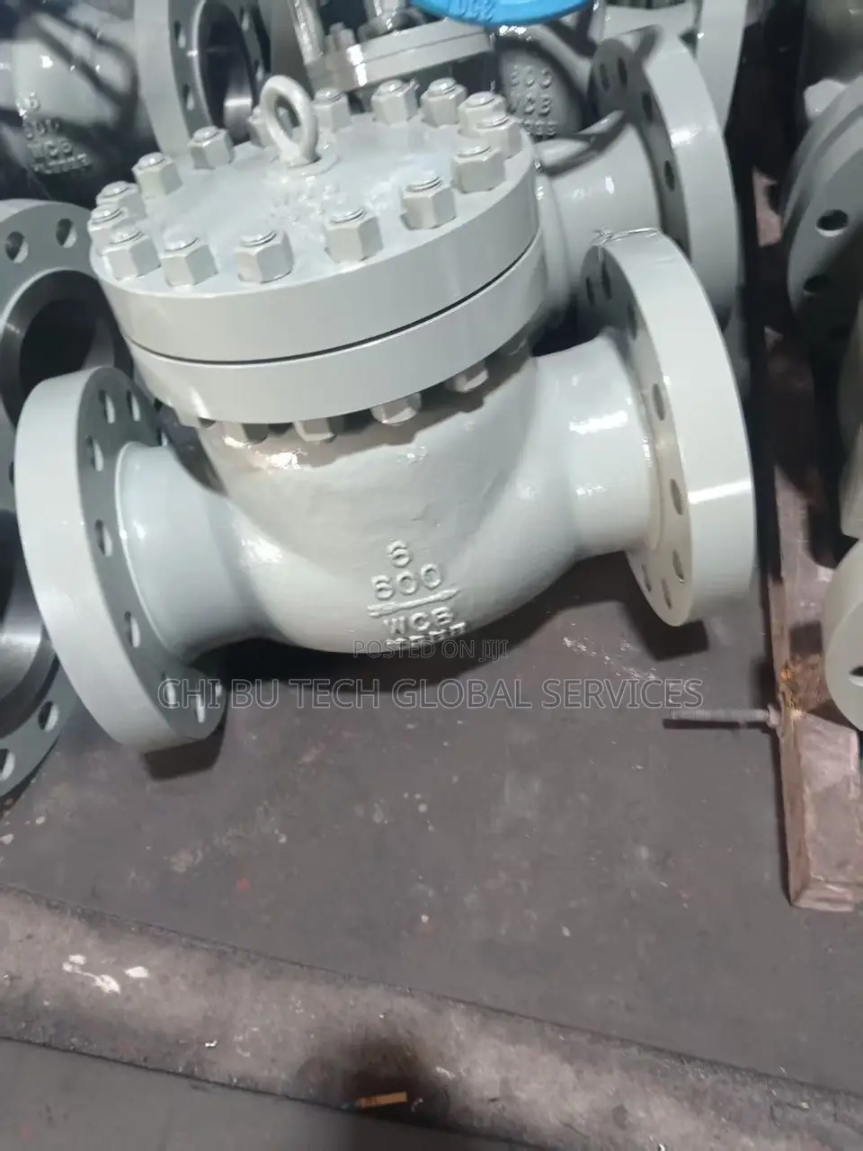 6/6 Steel Swing Check Valve
