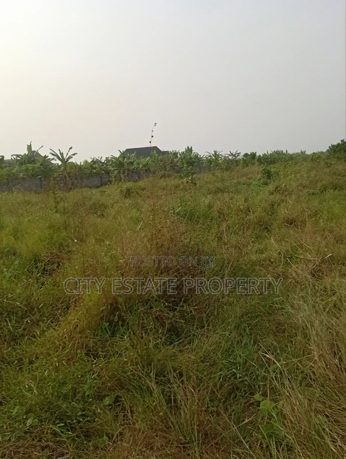 Land For Sale At Rukpokwu