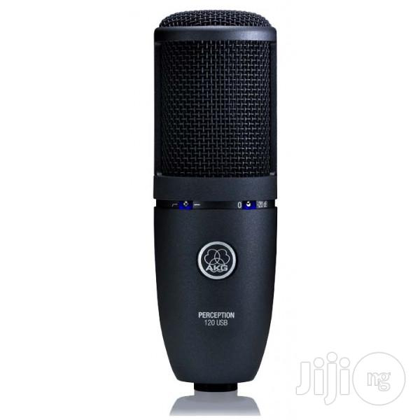 AKG P120 Cardioid Condenser Microphone - Black