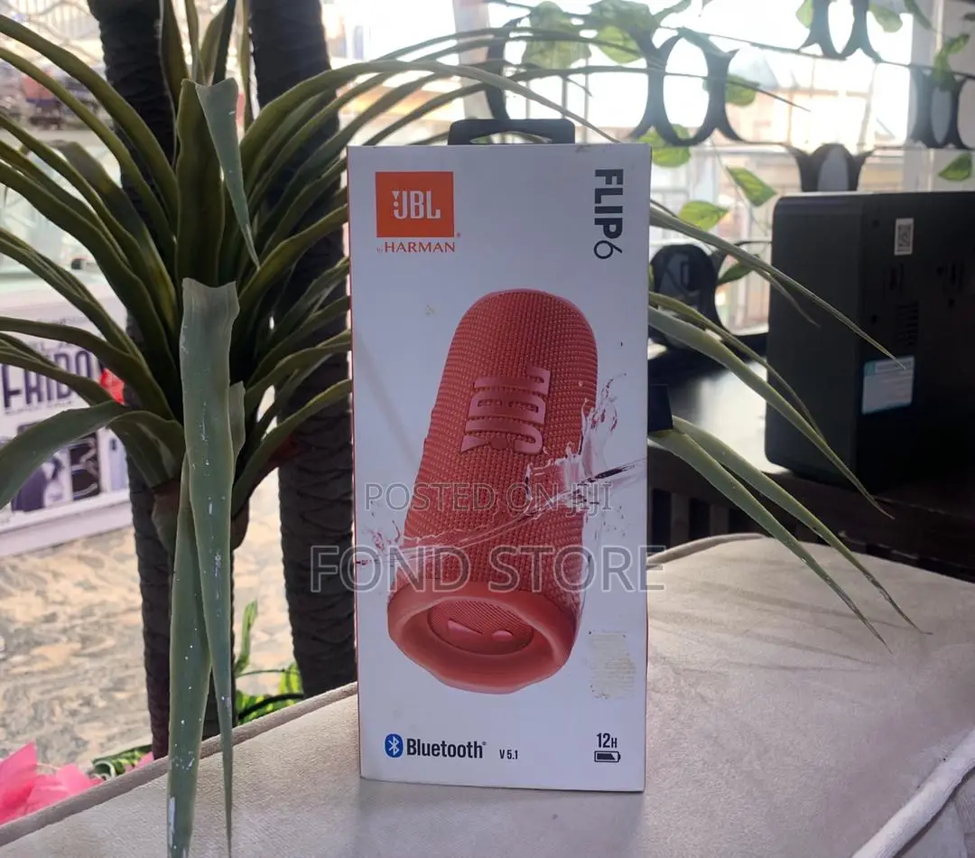 JBL Flip 6 Bluetooth Speaker