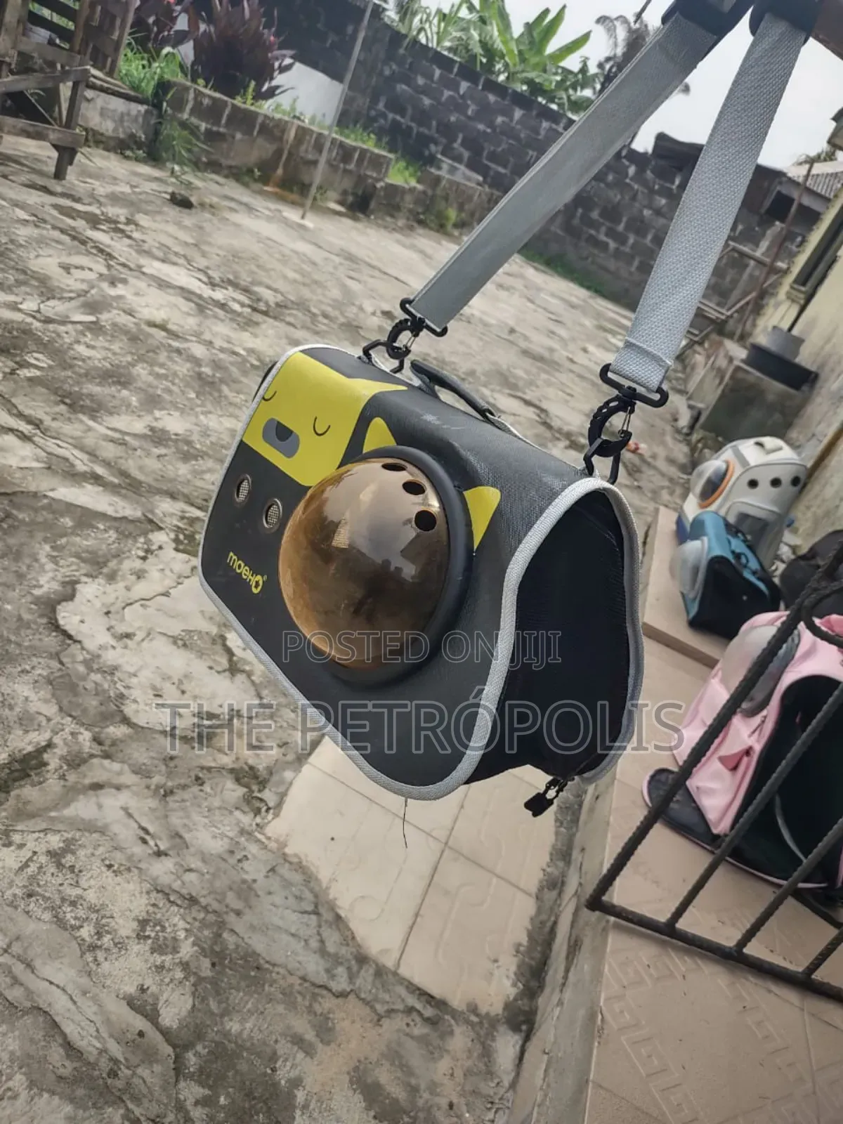 Pet Dog and Cat Bag Carriers