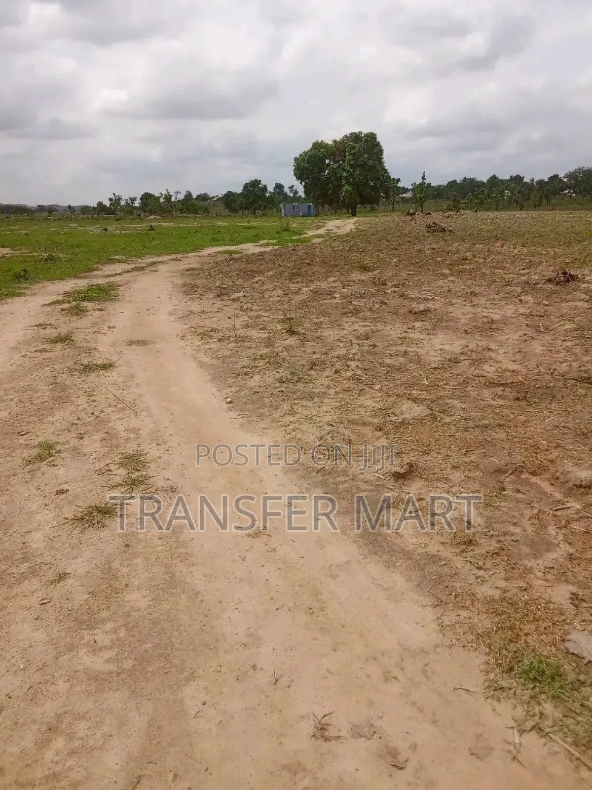 5.5 HCT in Akoyitapi Orozo
 55 Plots