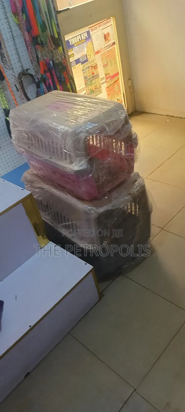 Dog and Cat Carrier