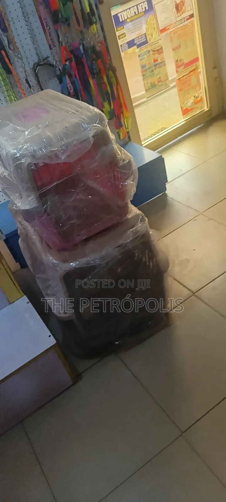 Dog and Cat Carrier