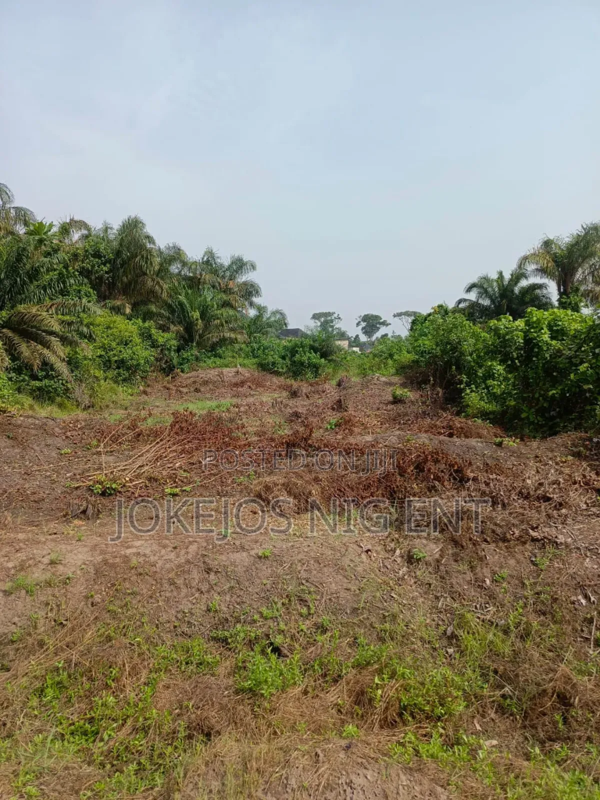 Governor Consent Deed of Assignment Survey Plan