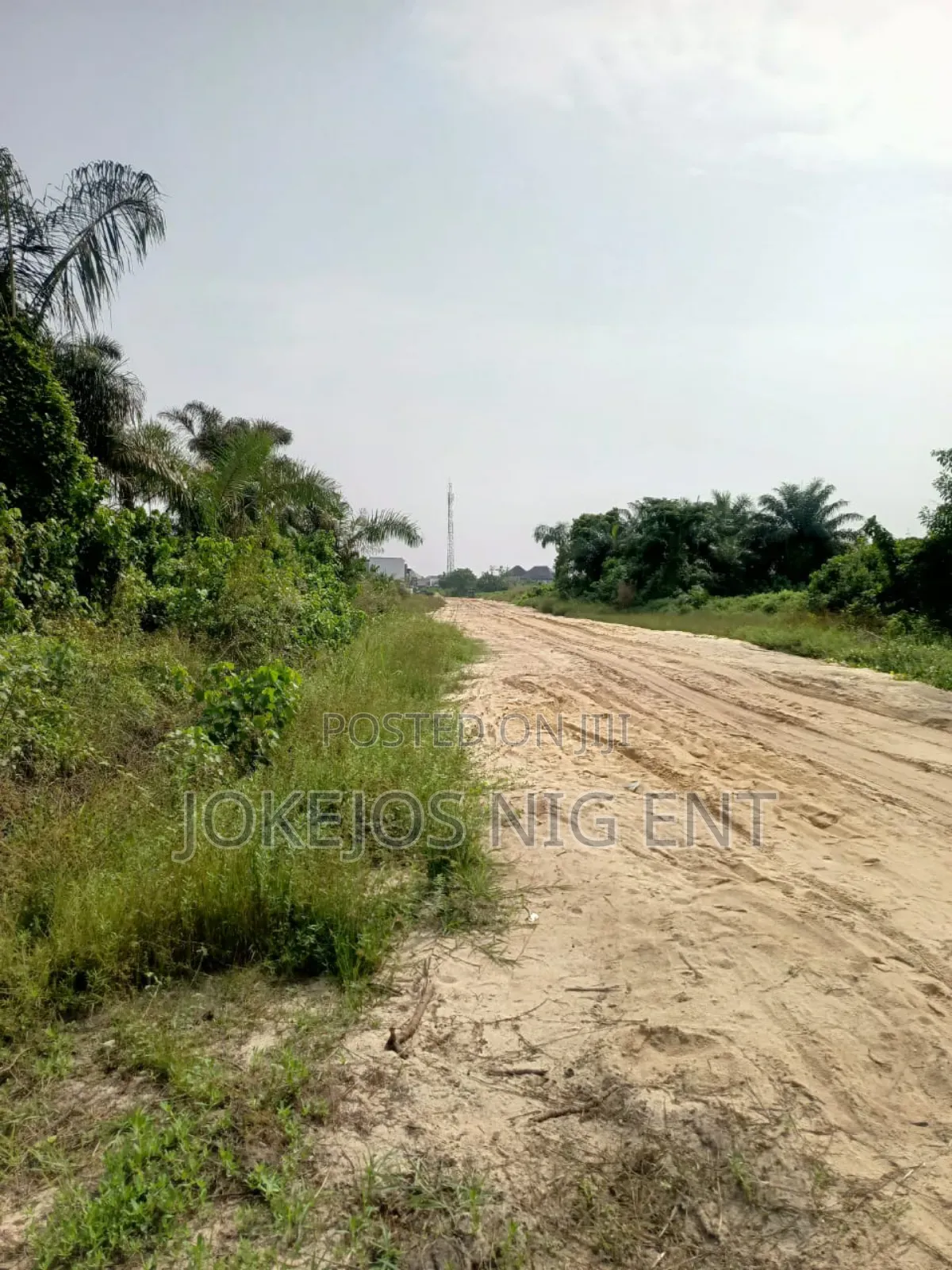 Governor Consent Deed of Assignment Survey Plan