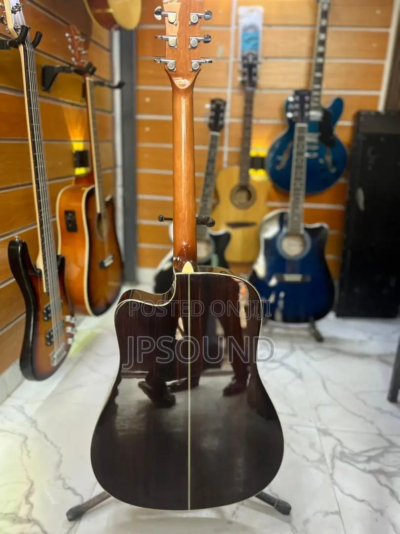 Semi Acoustic Guitar