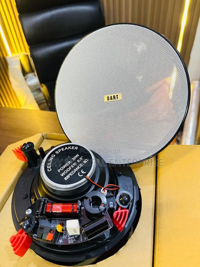 Dart Smart Amplifiers With Ceiling Speakers