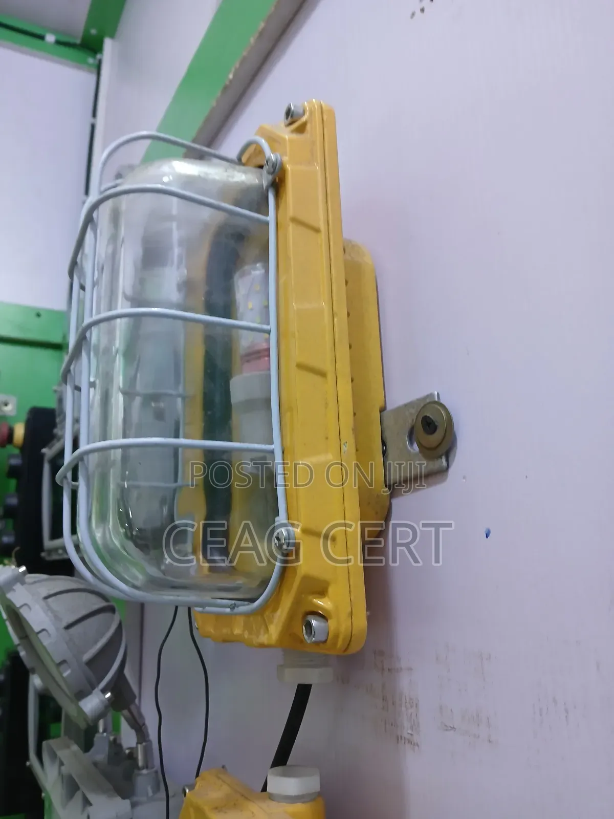 Explosion Proof Wall Light