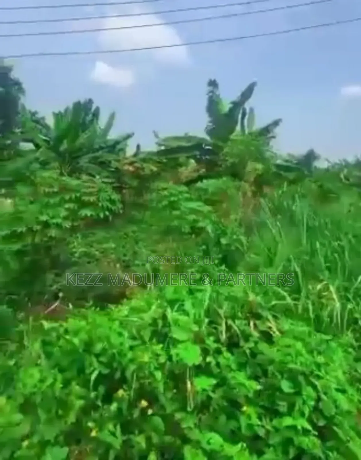 For Sale : 4 1⁄2 Plots at Obi Wali, Rumuigbo, Ph