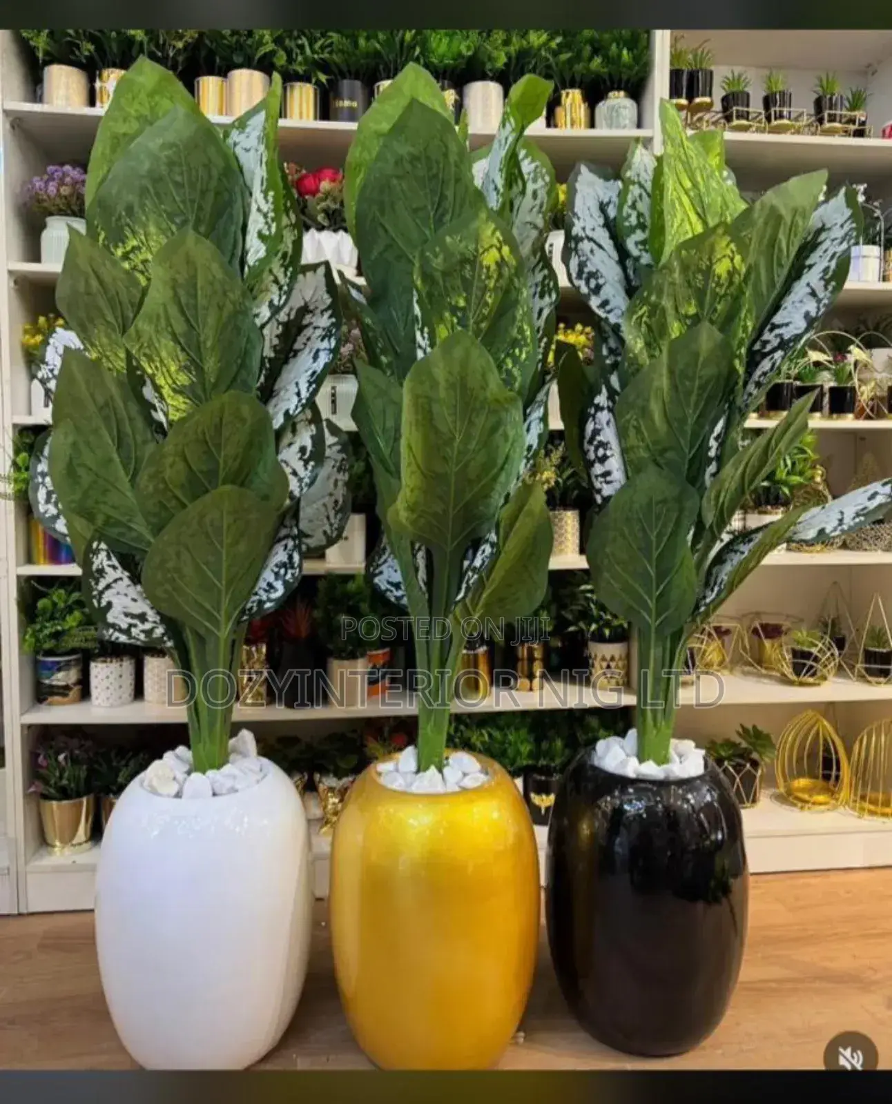 Fiber Glossy Pot and Nice Flowers