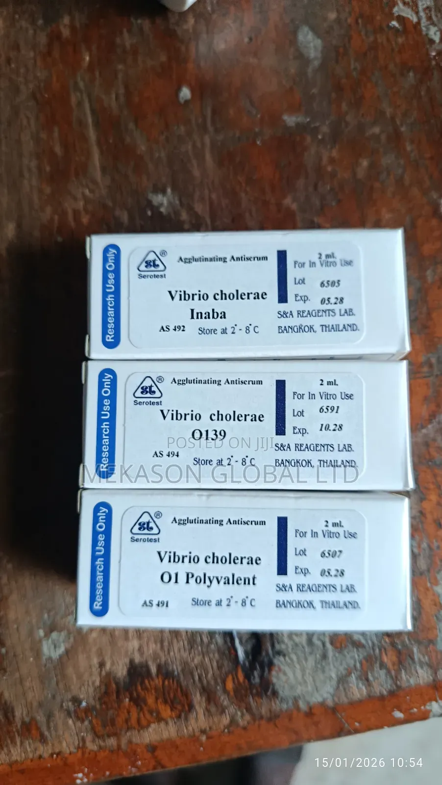 Agglutinating Anti Serum