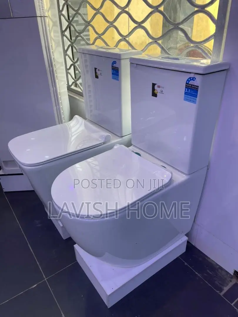 High Quality Pure White Water Closet With Basin and Pedestal