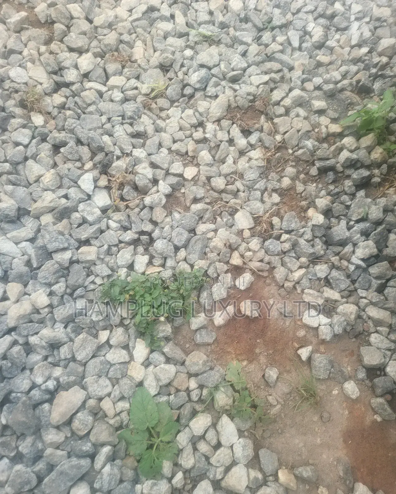 For Sale Prime Commercial Land for Sale!! Jahi by Gilmore