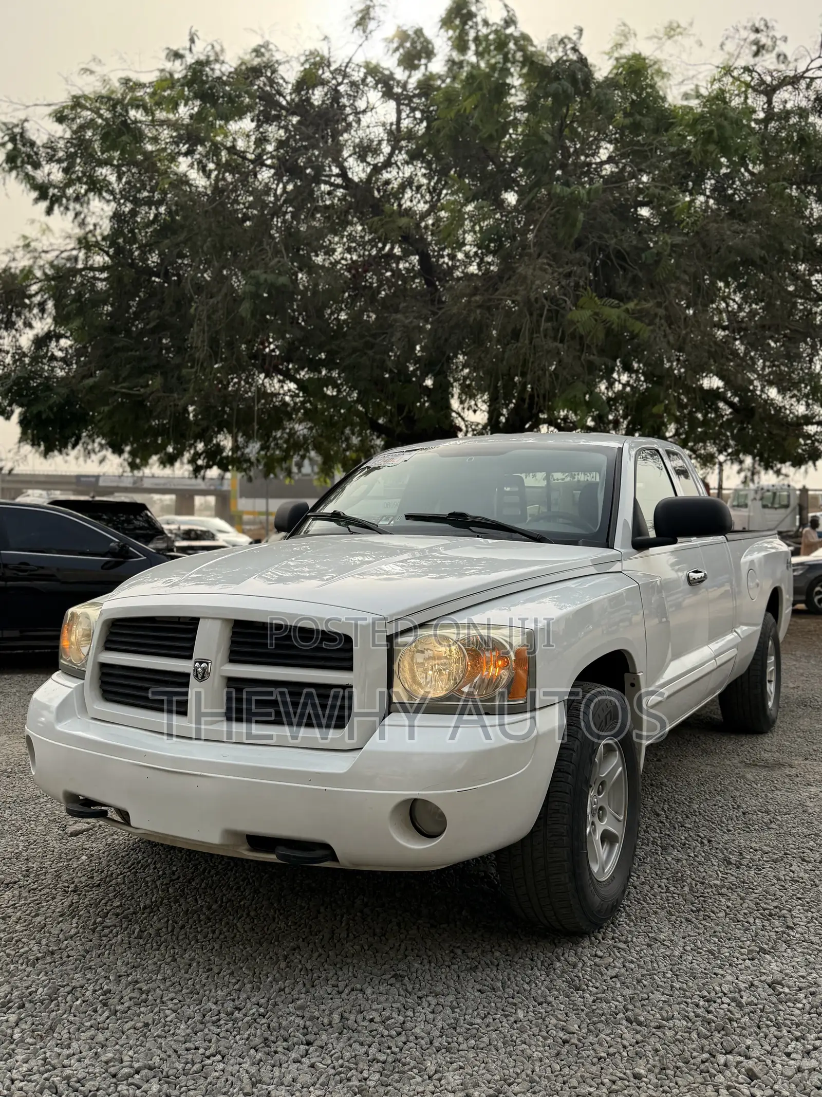 Dodge Dakota Quad Cab 4x4 2006 White