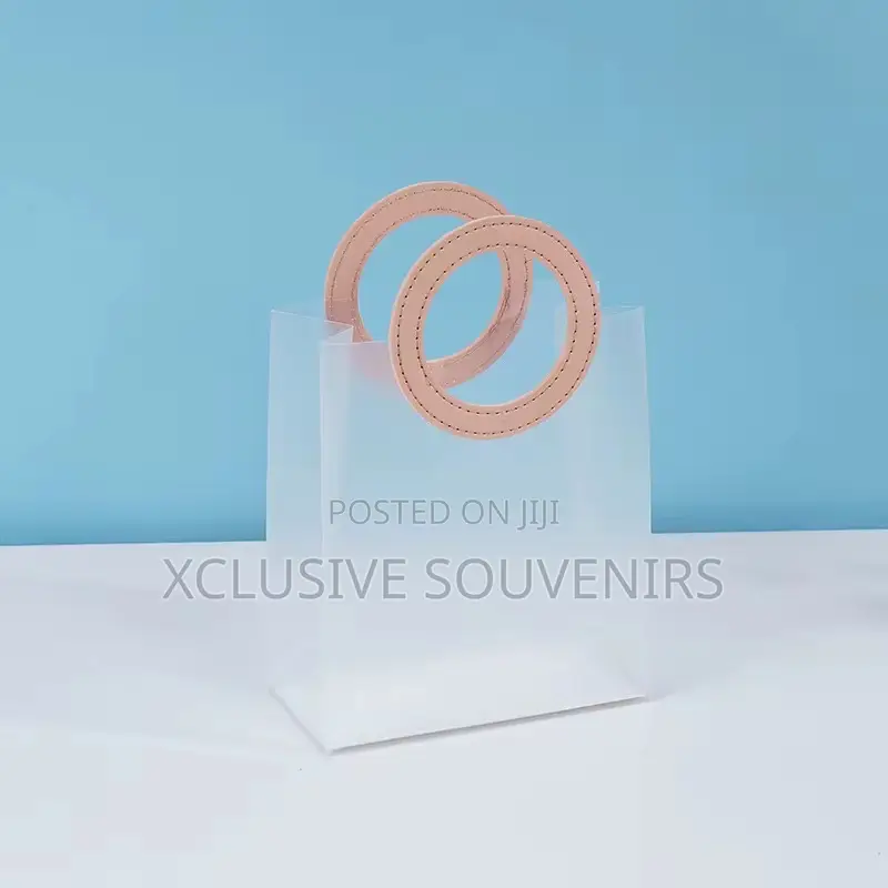 12pcs Transparent Frosted Durable Gift Bag