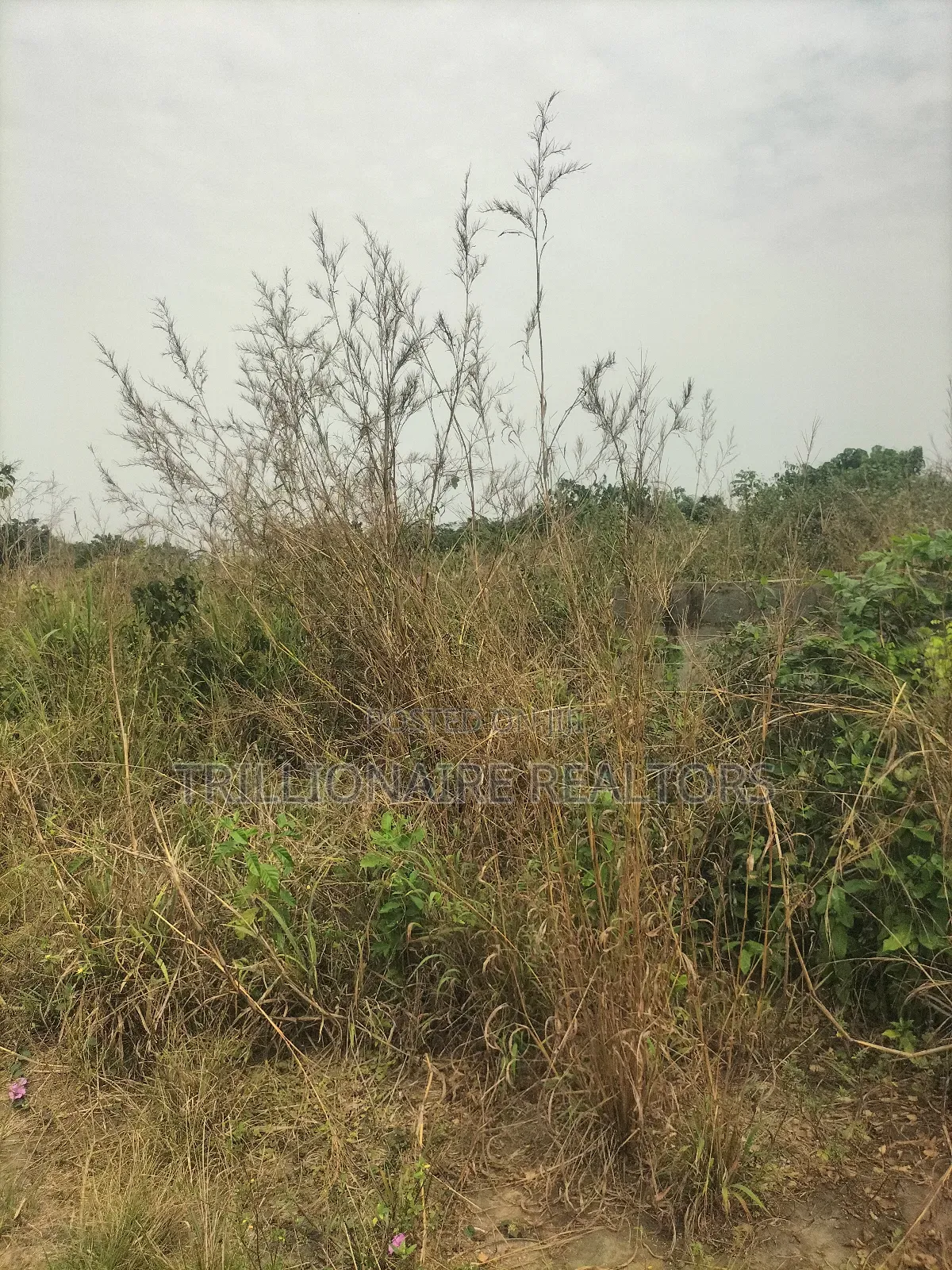 Residential Land in Epe
