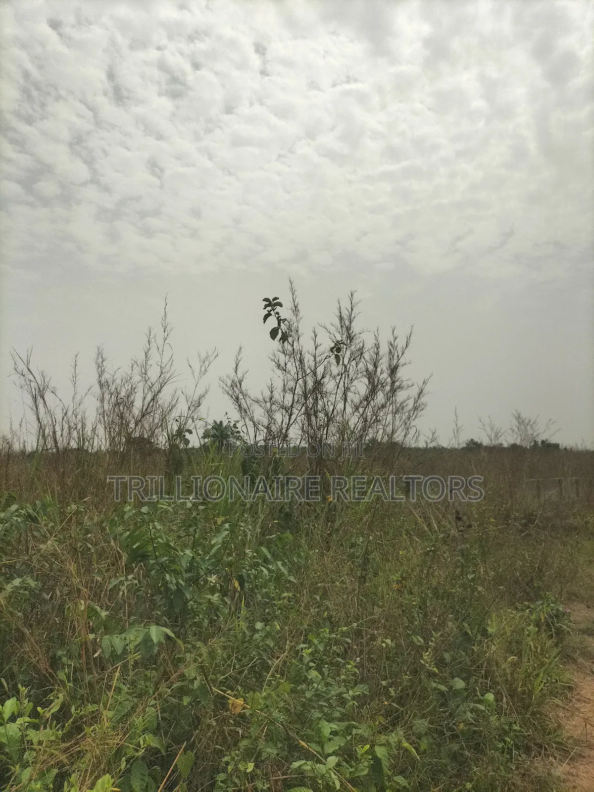 Residential Land in Epe