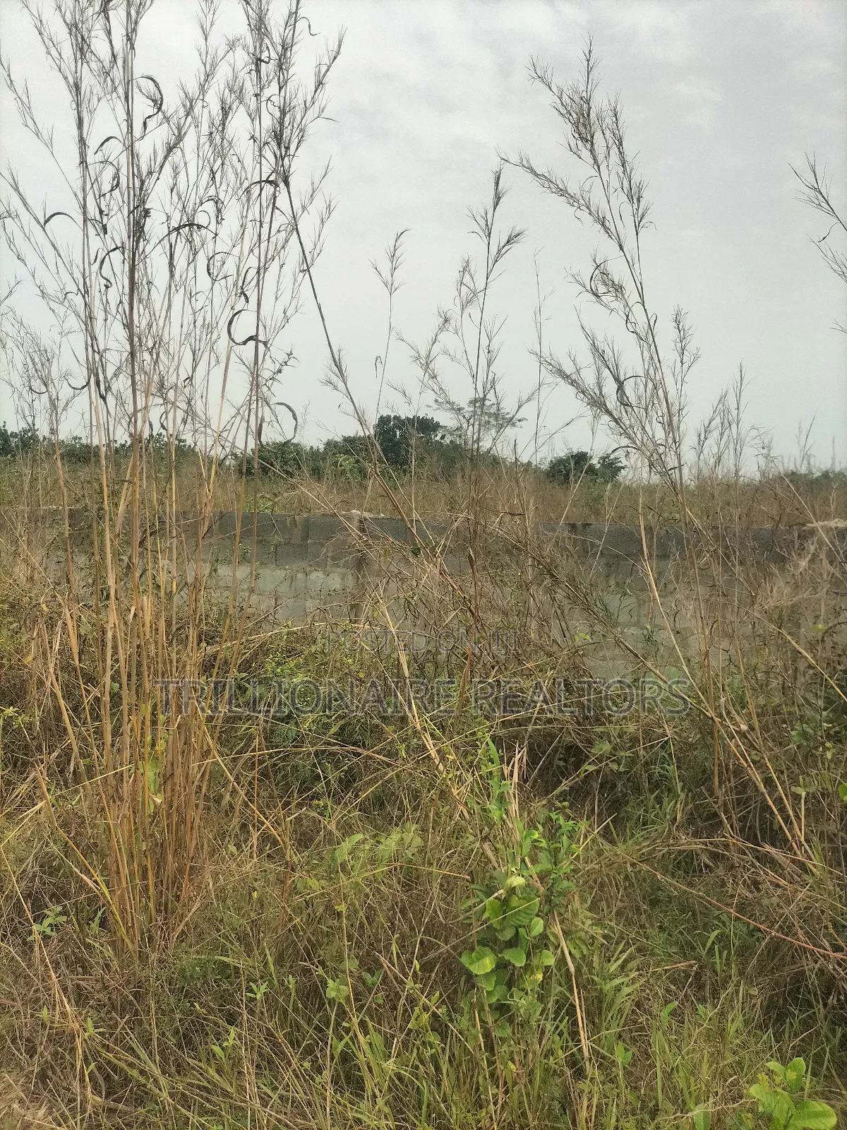Residential Land in Epe