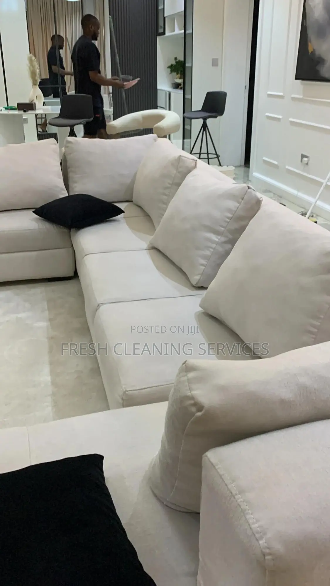 Equipped Professional Cleaning and Upholstery Revamp