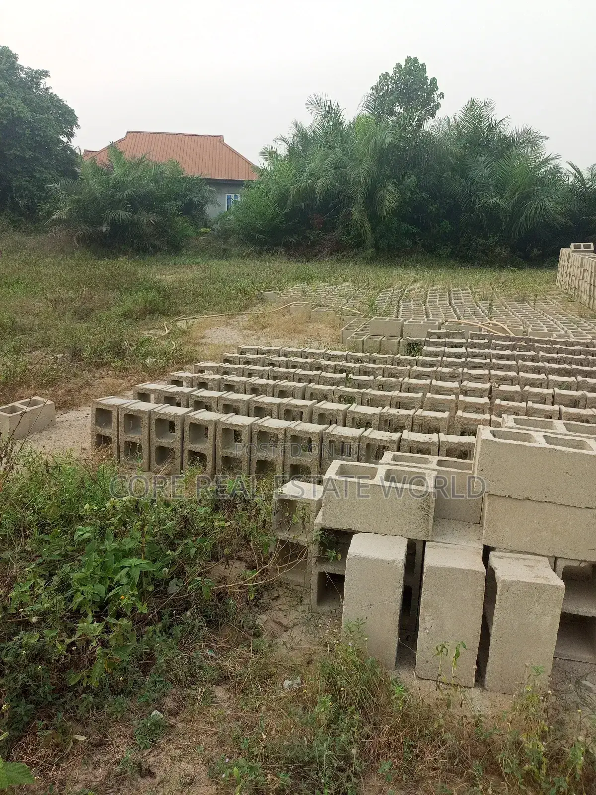 Buy and Build Land in Arepo