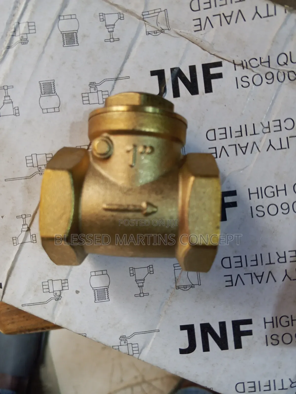 1" Italy Brass Non-Return Valve