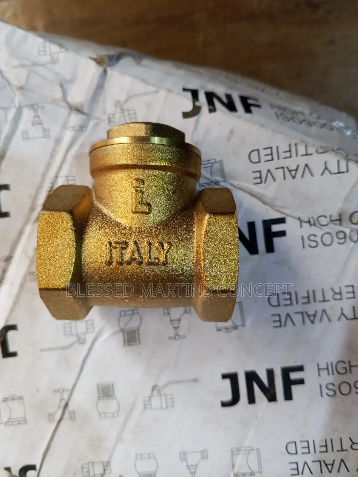 1" Italy Brass Non-Return Valve