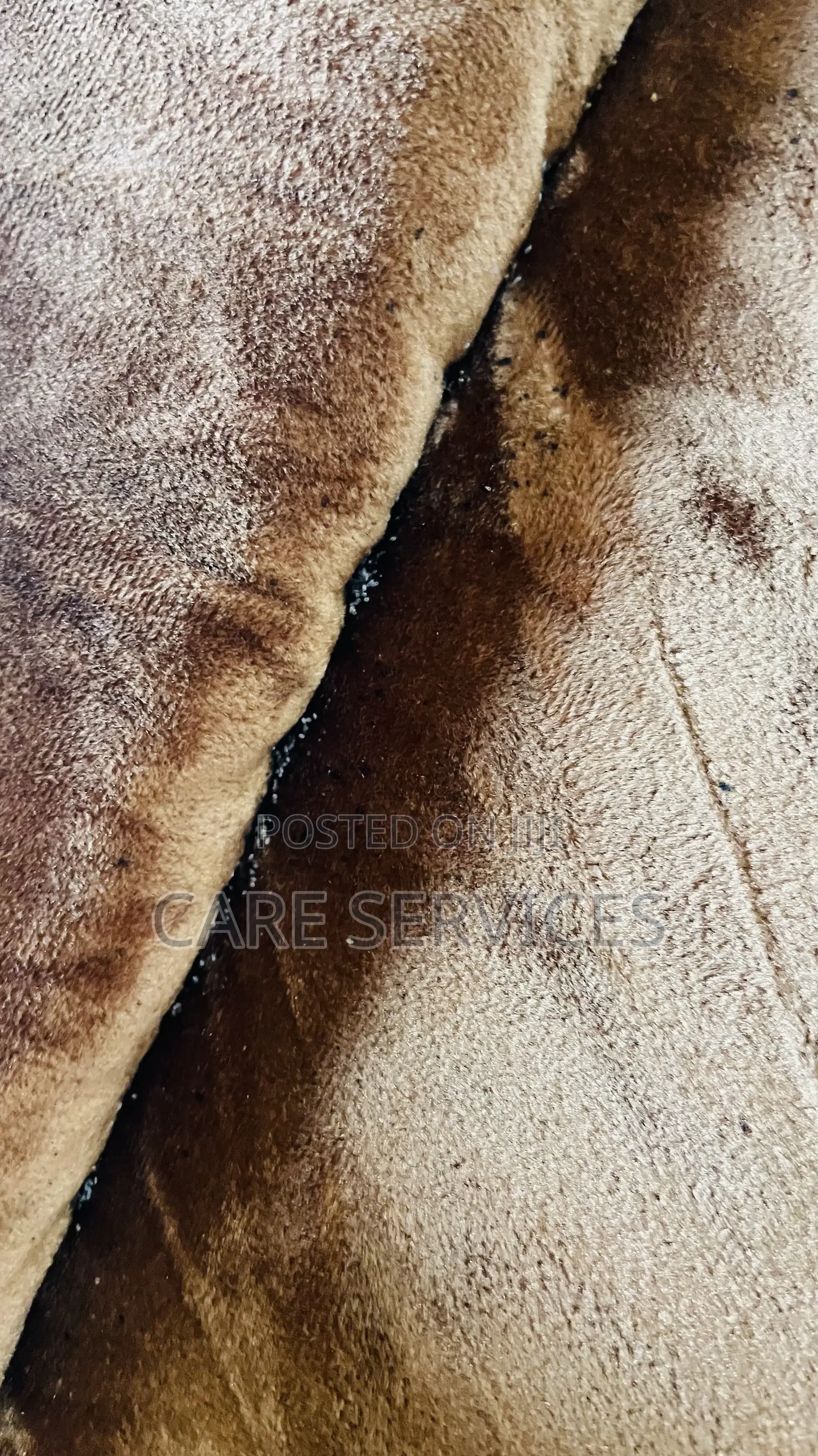 Top Rated Fumigation Service in Lagos