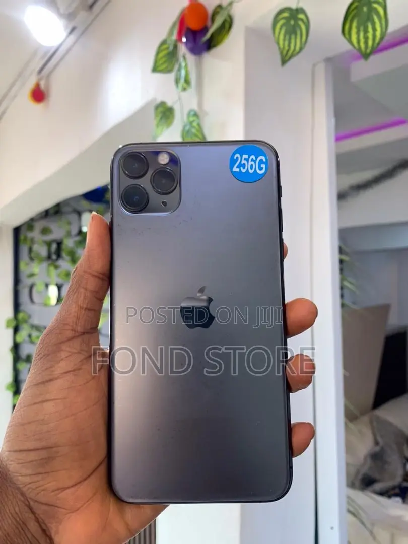 Apple iPhone 11 Pro Max 256 GB Gray