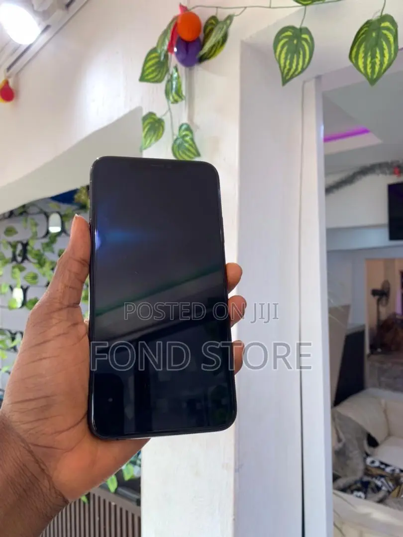 Apple iPhone 11 Pro Max 256 GB Gray