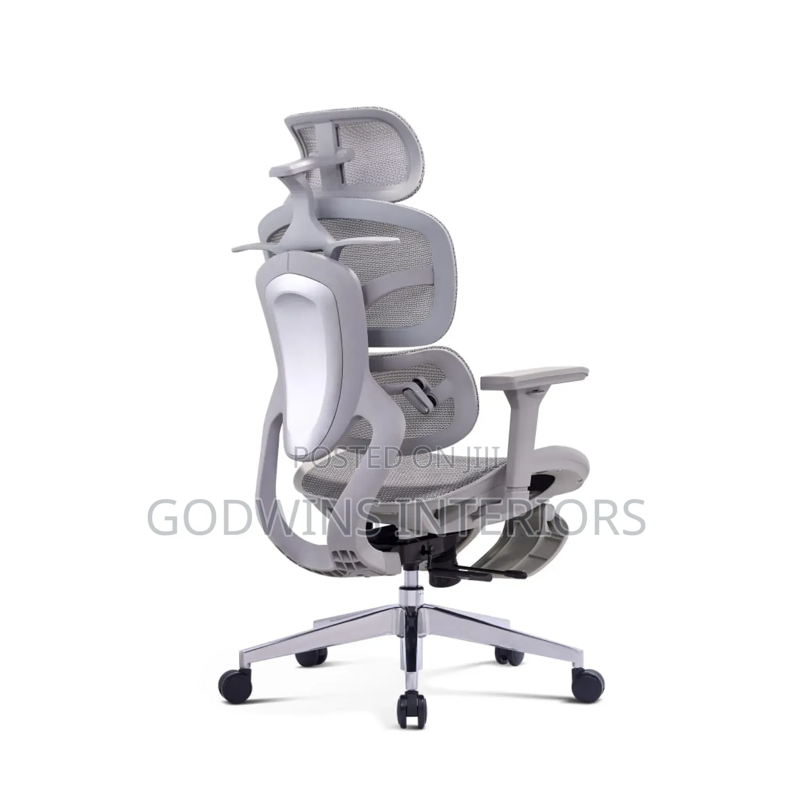 Luxury Ergonomic Office Chair (Mesh Back)