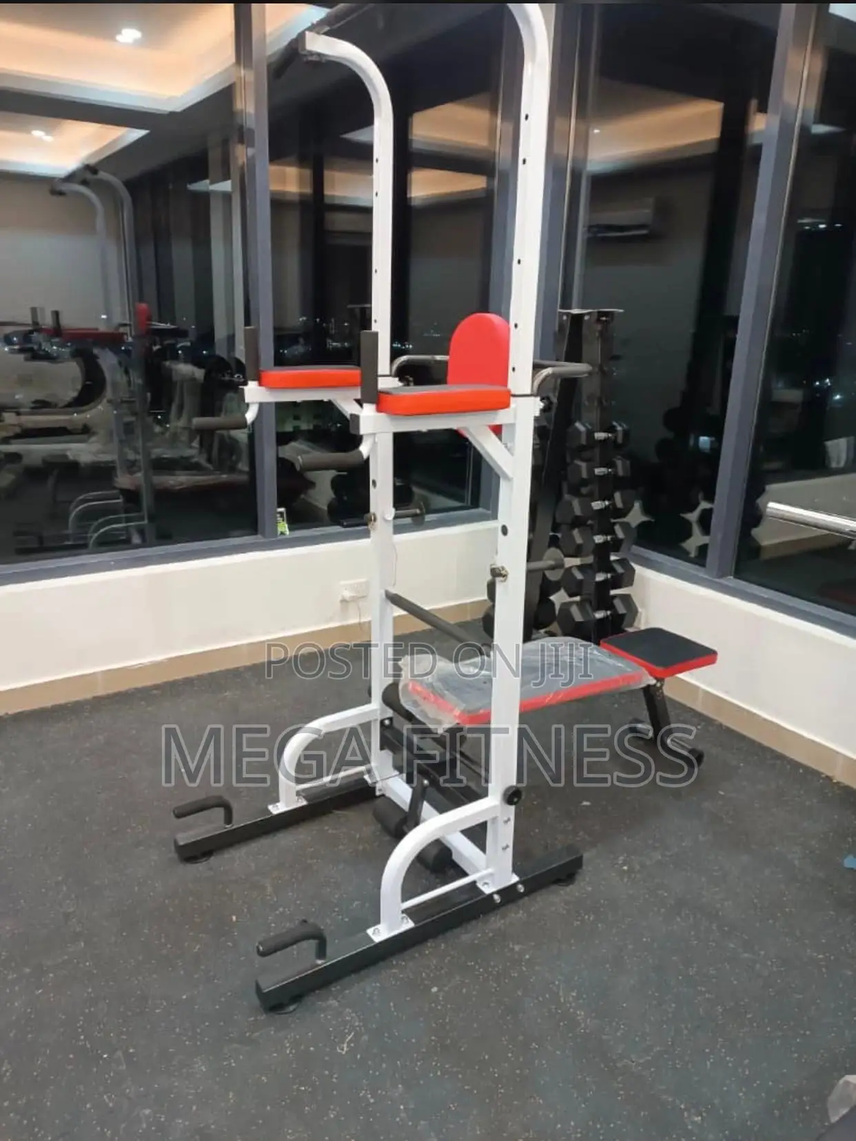 Dipchin Latpull Exerciser